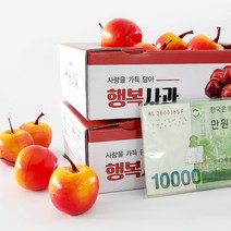 미니 사과 용돈박스 추석 선물, 단일옵션