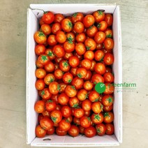방울토마토1박스(5kg), 1개