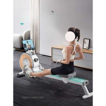 로잉 머신 전신운동 홈 트레이닝 가정용 유산소 운동, 펄 화이트  220 캐티 하중 지지