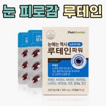 눈에는 루테인+비타민A 눈영양제 시력에 좋은음식 30C 침침할때 안구 피로할때 노안