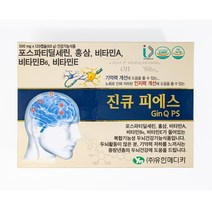 진큐피에스 3개월분 기억력개선 뇌영양제, 3박스, 120캡슐(60g)