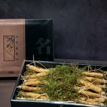 인삼 수삼 생인삼 인삼의효능 6년근 새싹 생삼 사포닌 300g 선물세트