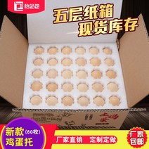 택배용 계란 포장재 폴팩 부활절 충격 방지 60, 대형 계란 트레이 60 개  카톤 5 세트