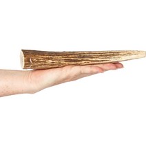 K9warehouse Elk Antlers X-Large Whole Dog Chew Treat