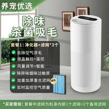 고양이 공기청정기 털 비염 미세먼지 원룸 펫케어, 모발흡입청정기 + 제모 및 악취제거B