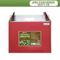 어삼추출액 60포 1박스 - 국산 어성초원액 삼백초원액