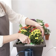 집에서 상추키우기 대형 사각 베란다 분갈이 야채 직사각 텃밭 플라스틱 화분, 브라운