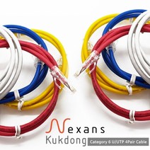 극동전선 넥상스 NKD42R.660 제작 랜케이블 레드 (10M CAT.6 UTP), 1개
