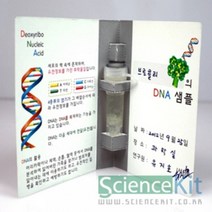 (SC) DNA추출1 식물세포(4인용) 실험교구 조별실험 단체실험 과학실험키트 과학교재