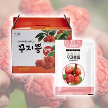 신이내린선물 꾸지뽕 즙 진액 무농약 친환경 구지뽕 꾸찌뽕, 100ml / 60포, 1개