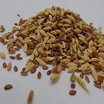 7 oz Sprouting PET Mix - A Tasteful Mix of Wheatgrass Flax and Barley Seeds. Seeds for Growing Micr, 1