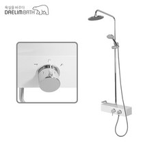 [고치고] 대림바스 DL-B6011 출장설치 해바라기 레인 샤워기 수전 선반형 수전 수도꼭지, 1개