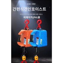 호이스트 견인 휴대용 전동 윈치 줄 운반 제어 크레인, 기본+유선리모컨+무선리모컨, 100kg/25m
