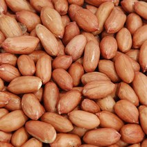 포항마트 볶은땅콩 600g, 1개, 볶은땅콩600g