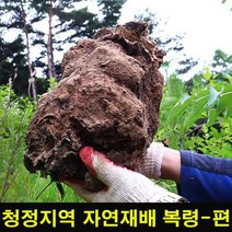고씨네 복령300g편 복령고 한약 편복령 복령 재배복령, one color, free
