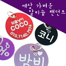 메이플펫 녹슬지않는 알루미늄인식표 팬던트별도판매, 02.알루미늄 뼈다귀스카이L, 1개