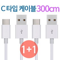 isk 1+1 C타입케이블 300cm