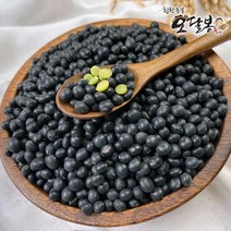 힘찬농부오달봉 2022년 국산 콩나물콩 선별약콩 약콩 쥐눈이콩 콩나물콩키우기, 1개, 국산 콩나물콩3kg