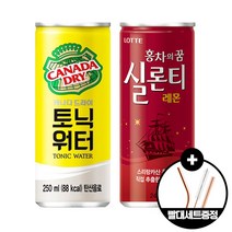 [홈스] 캐나다드라이 토닉워터 250ml x10 롯데칠성 실론티 240ml x10 스텐빨대세트 증정 20캔세트 기범주, 20개