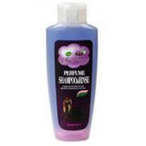 BB 소형견 샴푸 린스 아쿠아무스크향 370ml 대형견 도그 관리 펫 애완견, 1개