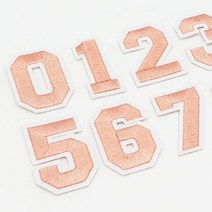 의류 패치 숫자 코랄 열접착와펜 옷와펜 와팬