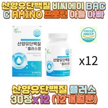 산양유단백질 비씨에이 BACC AMINO 프로틴 아들 아빠 남편 신랑 와이프 아내 예비 장모님 장인어른 시어머니 시아버지 아버지 어머니 엄마 중장년 노인 직장인 수험생 청소년 고3 중 고등 대 학생 운동 단백질 부족, 1개