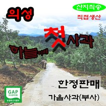 하늘아래 첫사과 가정용 5kg(부사)하품, 1box