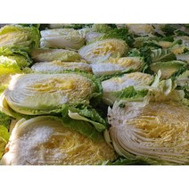 오늘애푸드 김장시즌 국내산 강원도 / 해남 절임배추20kg, 11월30일(목)도착