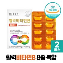 종근당 활력 비타민B 활성 비타민비 플러스 수용성 비타민B군 8종, 2개, 비타민B 60정