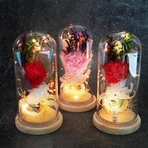 1300K led 카네이션 무드등 생화 프리저브드 부모님 유리돔 선, 색상:핑크