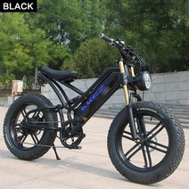 로드 접이식 출퇴근 클래식 가벼운 자전거 20 인치 전기 고성능 전기 오토바이 48v750w 남녀 오토바이 해변 눈 4.0 거친 타이어, 750w13ah, 7