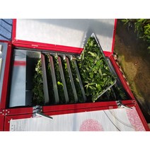 황칠나무 건조약재(7~20년산 줄기 잎 뿌리 혼합 다양해요) 황칠나무 황칠나무 묘목