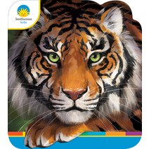 Tiger Board Books, Cottage Door Press, English, 9781646381883