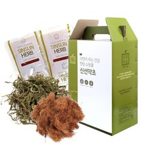 신선약초 옥수수수염차전초즙 62포, 110ml