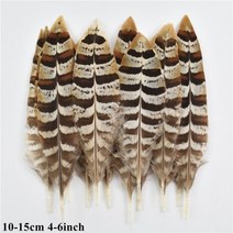 도매 천연 공작 꿩 깃털 작은 닭 거위 플라이 묶는 재료 수공예 액세서리 장식, 20 Piece, Size 10-15CM_4