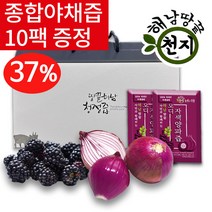 땅끝청정해남 오디자색양파즙 100ml, 120개입