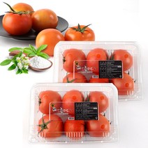 원시인농산 스테비아토마토 2팩(총2kg) 토망고 망고토마토