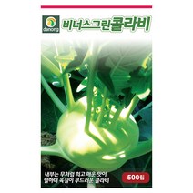 두메 부추 100립 부추씨앗 부추씨 야채씨 야채씨앗 채소씨 채소씨앗, 13_다농_비너스 그린콜라비(500립)