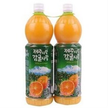 [메가마트]제주 감귤 주스 1200ml * 2본, 1개