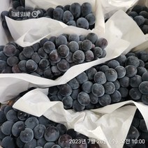 캠벨포도 1.5kg(4~6수 내외) 국내산 매일 경매, 1개