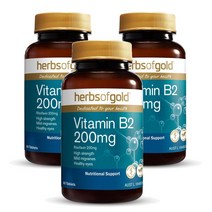 호주 허브스 오브 골드 Herbs of Gold Vitamin B2 비타민B2 200mg 60정, 3팩
