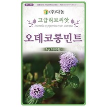 페퍼민트 200립 - 허브 허브씨 허브씨앗 씨 씨앗 페퍼민트씨 페퍼민트씨앗 꽃씨 꽃씨앗 페파민트 매운박하 다년생 여러해살이 Pepper, 14_다농_오데코롱민트(1g)