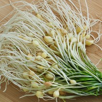 [전남생협] 국내산 봄나물 세척 달래 500g, 상세 설명 참조