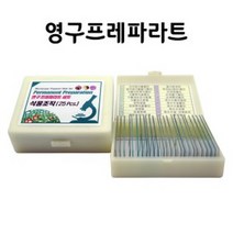 영구프레파라트 식물조직(25매) SD 64005