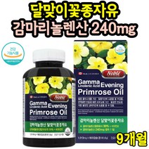 월경전 생리 전 영양제 달맞이기름 증후군 X 약 3개월 콜레스테롤 혈행 개선 효능 면역과민반응 통심할때 달맞이꽃종자유 감마리놀렌산 여성 중년여성 3통