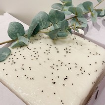 고래술떡 기정떡 기지떡 증편 1박스(1kg * 2장) 잔기지떡맛집 기정떡 술떡