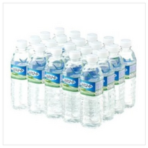 광동 삼다수 330mlx20pet, 500ml, 20개