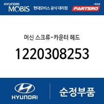 머신 스크류-카운터 헤드 (1220308253) E에어로타운 쏠라티 E에어로타운 특장