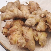 산지직송 충남 서산 전영운님의 햇 토종생강 1kg, 단품없음