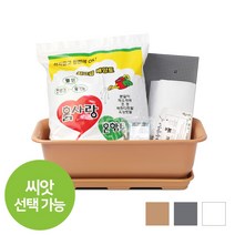 화분월드 베란다 텃밭 상추 야체키우기 뷰티 5호 텃밭세트, 뷰티500 텃밭세트(화이트)